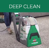 Rent a carpet cleaner from BISSELL Rental and get a deeper clean.
